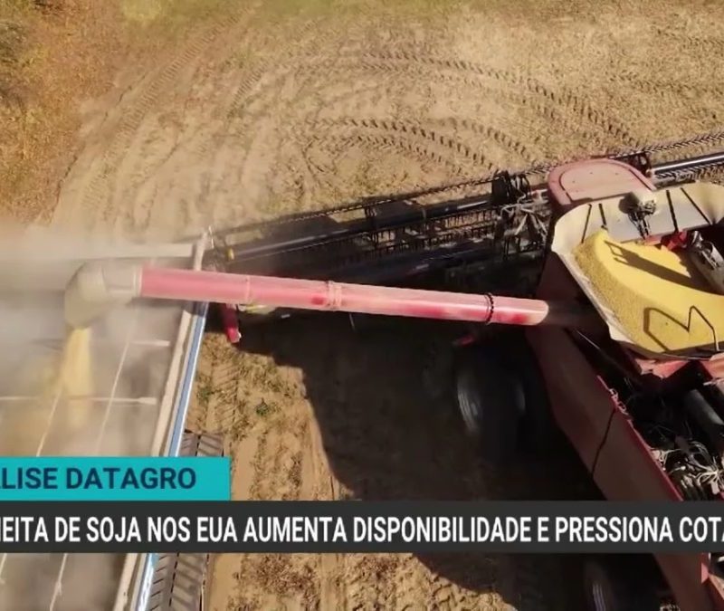 Colheita nos EUA impacta preços globais de soja e milho