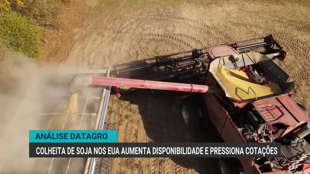 Colheita de soja nos EUA pressiona cotações internacionais em outubro
