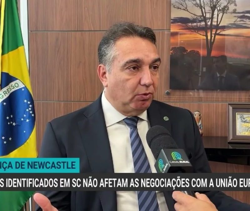 Doença de Newcastle em SC não afeta exportações para a UE