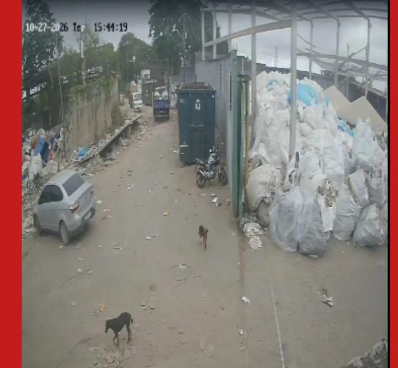 Duas funcionárias morrem após queda de estrutura em empresa de Salvador