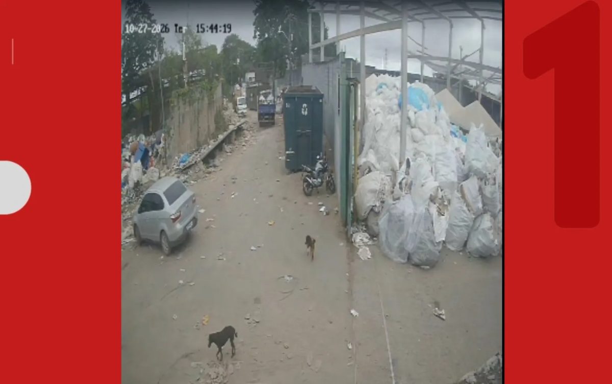 Vídeo mostra queda de pilastras dentro de empresa em Salvador; duas funcionárias morreram e três ficaram feridas